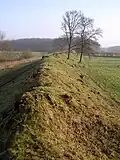 Danewerk