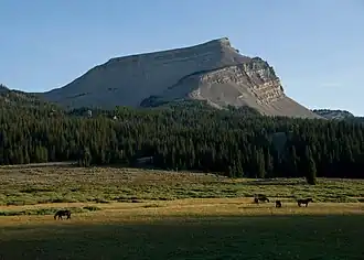 Darwin Peak von Norden