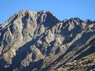 Kasereck