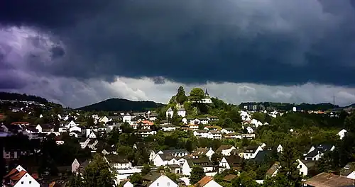 Daun im Sommer