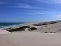 Dünenlandschaft