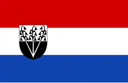 Flagge des Ortes Joure