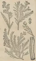 S. 26