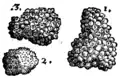 S. 71v