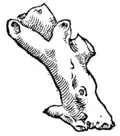 S. 133v