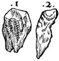 S. 161r