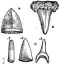 S. 162v, Abb. 2