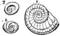 S. 164r, Abb. 1