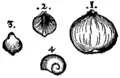 S. 166r, Abb. 1