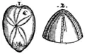 S. 166v