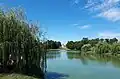 Schlosspark mit Schloss im Hintergrund
