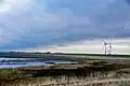 Deichvorland bei Neuharlingersiel