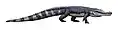 Deinosuchus rugosus (2014)