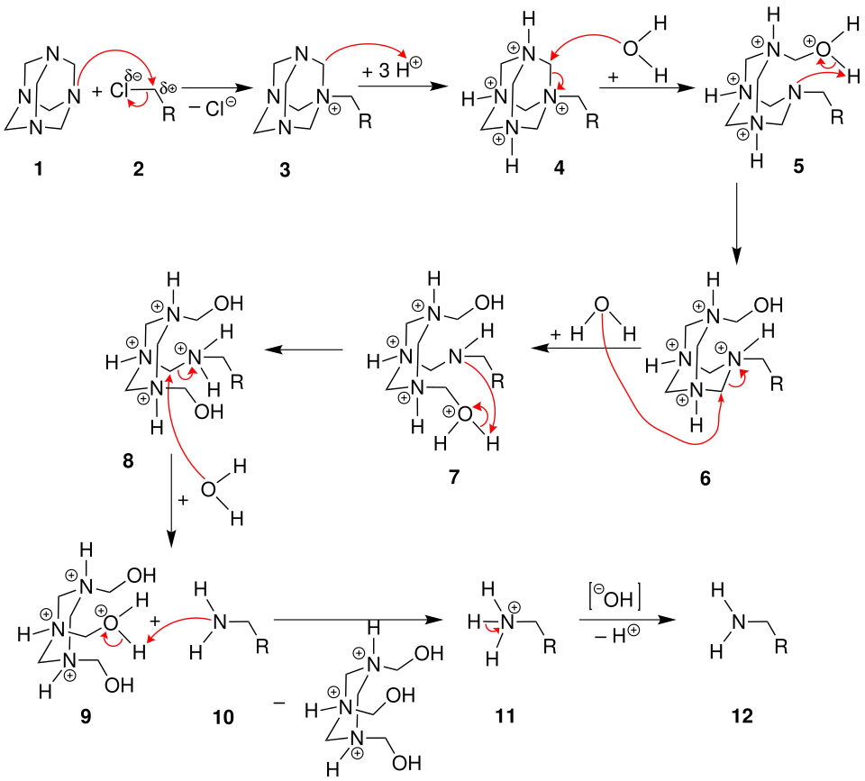 Mechanismus der Delépine -Reaktion
