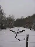 Altes Bachbett