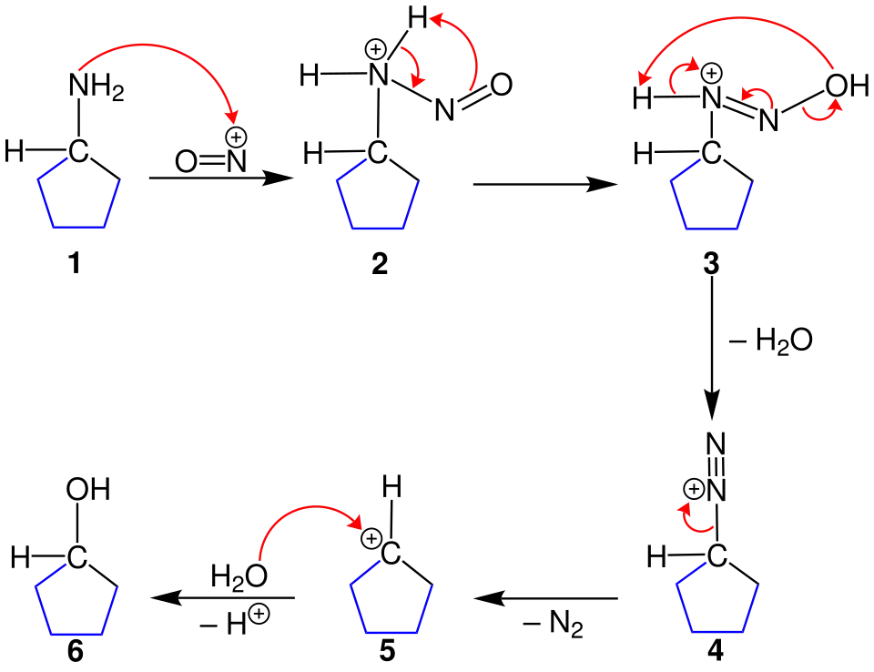 Reaktionsmechanismus der Ringverkleinerung der Demjanov-Umlagerung, a