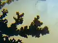 Moos- bzw. Dendritenachat