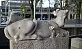 Koe, Lijnbaan in Den Haag