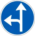 D11.6: Vorgeschriebene Fahrtrichtung – geradeaus und links