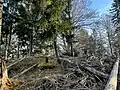 Gipfelbereich mit Resten der Sendeanlage