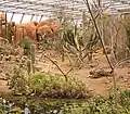 Wüstenlandschaft im Burgers’ Zoo, Arnhem