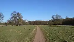 Wiesen an der Elbe
