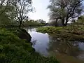 Mündung in die Mulde
