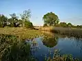 Brücke über den Fließgraben, den Zufluss in die Pelze