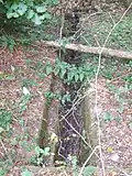Vom Ort der ehemaligen Kreuzmühle stürzt das Bachwasser den steilen Hang hinab südwärts durch eine gemauerte Rinne in ein Rohr