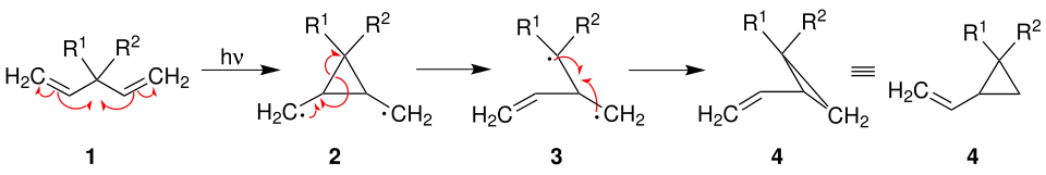 Mechanismus der Di-π-Methan-Umlagerung