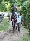 Diamanta auf dem Weg vom Geläuf zum Absattelring