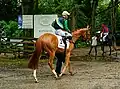 Muskoka mit Jockey Lukas Delozier auf dem Weg vom Führring zum Geläuf