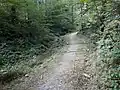 Dickibach im Tätschtobel