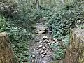 Dickibach am Anfang des Giessentobels