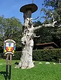 Die Gerichtseiche vor der Zerstörung
