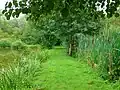 Diefflen, Weg in der Auenzone