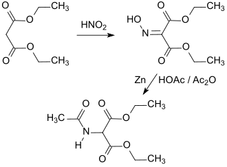 Synthese von Diethylacetamidomalonat
