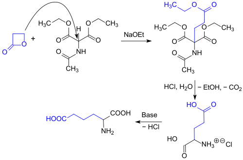 Synthese von rac-Glu