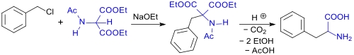 Synthese von rac-Phenylalanin