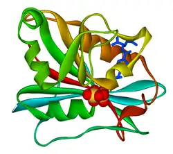 Dihydrofolat-Reduktase
