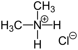 Dimethylammoniumchlorid