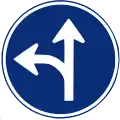 R-403a Vorgeschriebene Fahrtrichtung – geradeaus und links