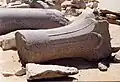 Fragmente von Palmsäulen aus dem offenen Hof des Totentempels der Djedkare-Pyramide