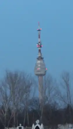 Bild des Objektes