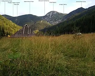 Blick von der Alm Polana Jaworzynka