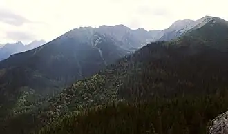 Blick von dem Gipfel Gęsia Szyja