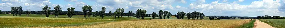 Tal der Wilga bei Żelechów