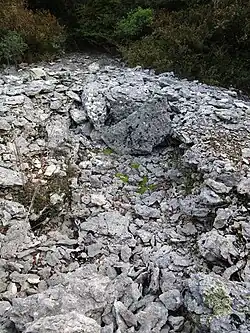 Dolmen Du Bois de Laval