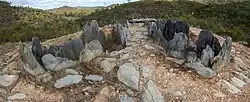 Pozuelo 3