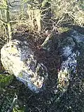Dolmen du Moulin du Sauquet